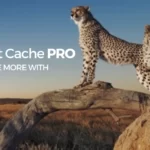 WP Fastest Cache Premium WordPress Plugin 1.6.4