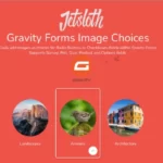 Jetsloth Gravity Forms Image Choices 1.4.9