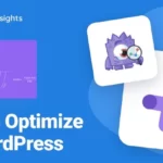 MonsterInsights Google Optimize Addon 1.6.0