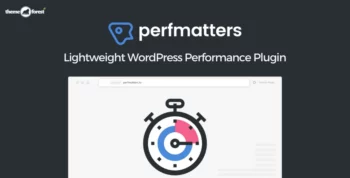 Perfmatters WordPress Performance Plugin