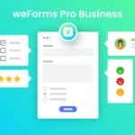 weForms Pro Business 1.3.17