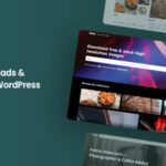Heilz - Digital Downloads & Marketplace WordPress Theme 1.0.0.7.6