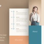 Teoro Theme - CV Resume WordPress Theme 1.1