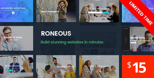 Roneous Theme- Creative Multi-Purpose WordPress Theme
