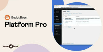 BuddyBoss Platform Pro