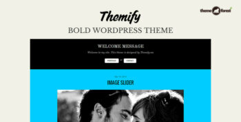 Themify Bold WordPress Theme Activation