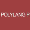 Polylang Pro