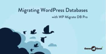 WP Migrate DB Pro – WordPress Site Migration