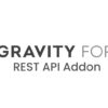 Gravity Forms REST API Addon