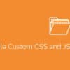 Simple Custom CSS and JS PRO