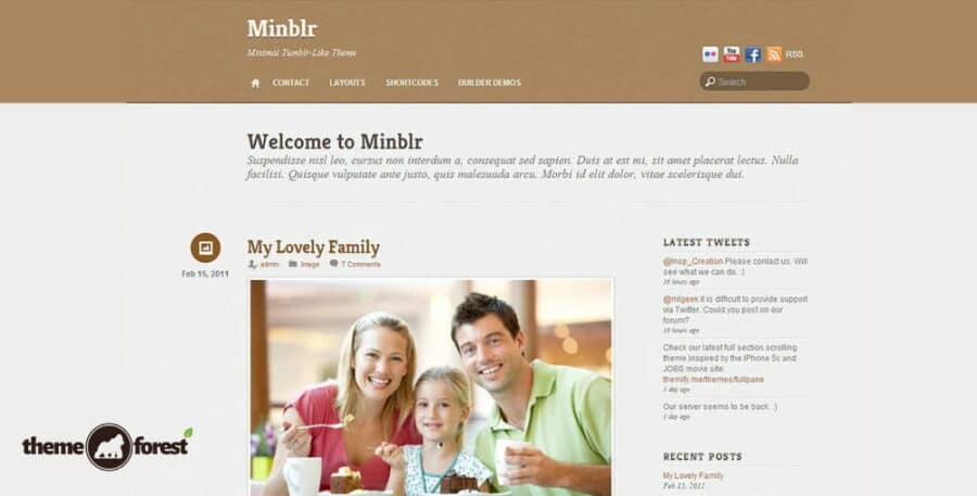 Themify Minblr WordPress Theme + Activation