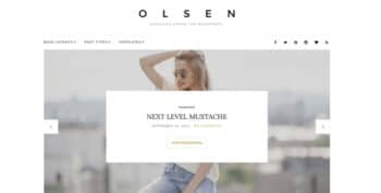 CSS Igniter Olsen Pro WordPress Blogging The