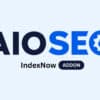 AIOSEO IndexNow Addon