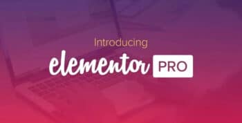 Elementor Pro Plugin | Discounted Price | WordPress Page Builder