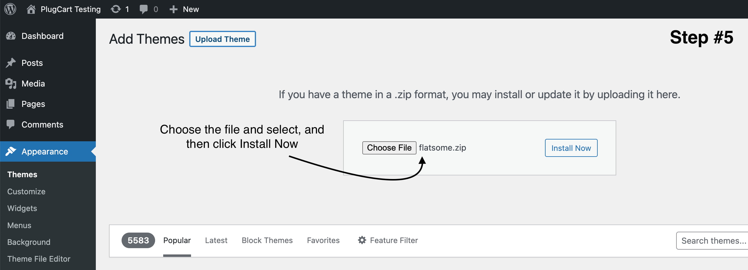 choose a correct theme file that prevent style css error