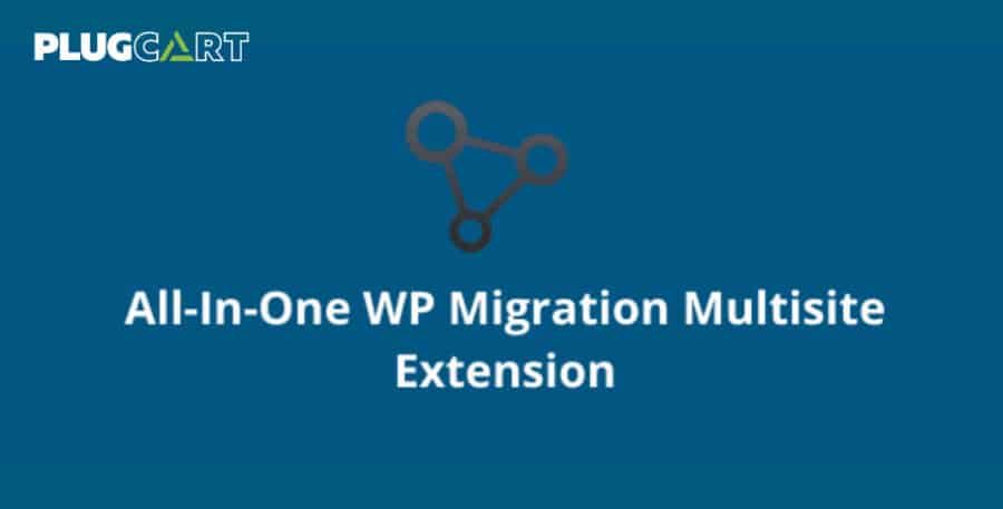 All In One WP Migration Multisite Extension [Pre-activated]