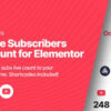 Struninn - Youtube Subscribers Live Count CodeCanyon