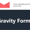 Newsletter Gravity Forms Addon