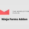 Newsletter Ninja Forms Addon