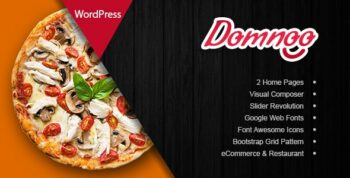 Domnoo Theme Themeforest