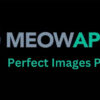 Meow Perfect Images Pro