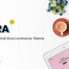 Zyra Theme Themeforest