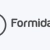 Formidable Forms AI