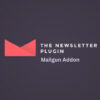 Newsletter Mailgun Addon