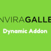 Envira Gallery Dynamic Addon