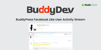 BuddyPress Facebook Like User Activity Stream