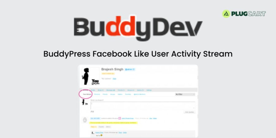 BuddyPress Facebook Like User Activity Stream