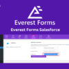 Everest Forms Salesforce