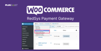 WooCommerce RedSys Payment Gateway