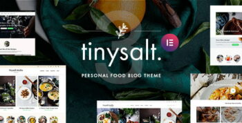 TinySalt Theme themeforest