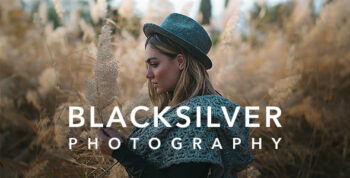 Blacksilver Theme Themeforest