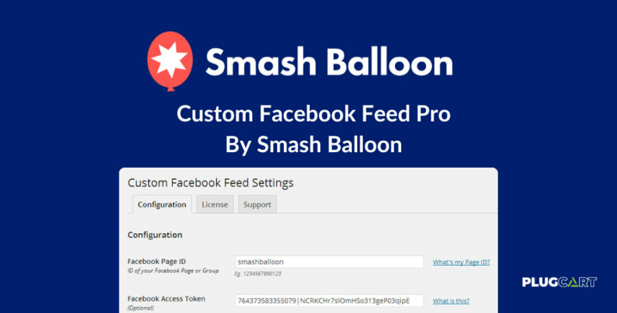 Custom Facebook Feed Pro By Smash Balloon