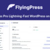 FlyingPress Pro