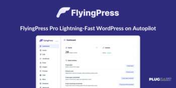 FlyingPress Pro