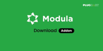 Modula Download Addon