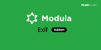 Modula Exif Addon