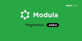Modula Pagination Addon