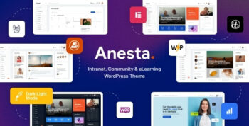 Anesta Theme Themeforest
