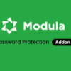 Modula Password Protection