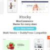 Xtocky Theme Themeforest