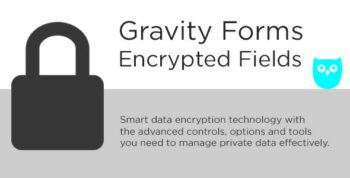 Gravity Forms Encrypted Fields Codecanyon